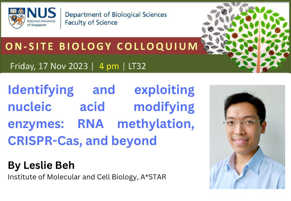 Leslie Beh | 17 Nov 2023