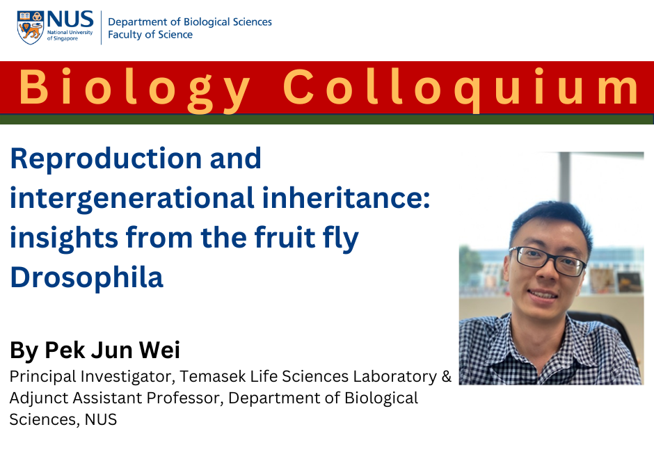 Pek Jun Wei | 26 Jan 2024