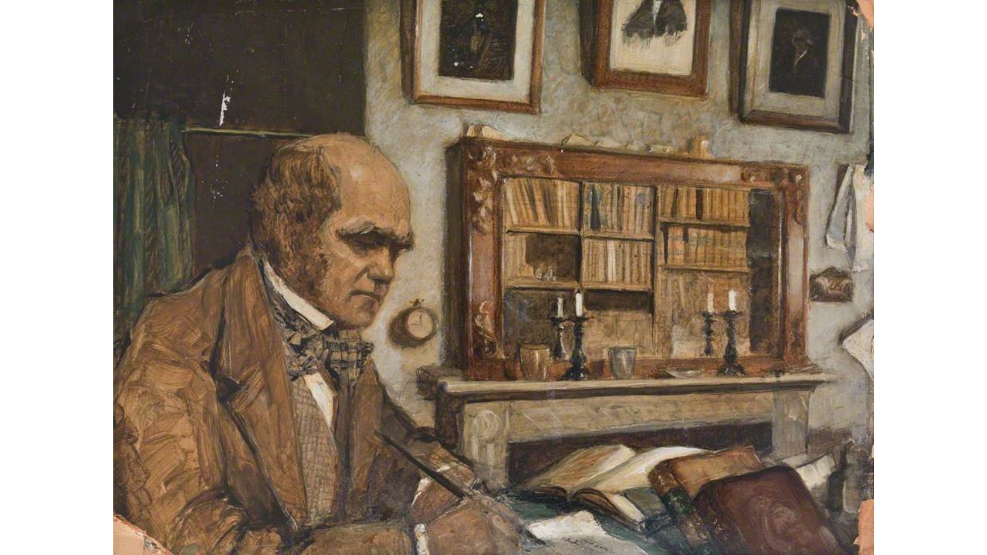 The Complete Library of Charles Darwin revealed for the first time