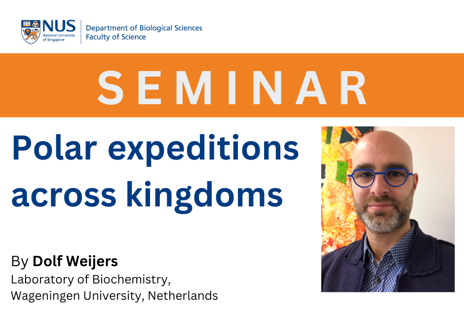 Dolf Weijers | 22 Feb 2024