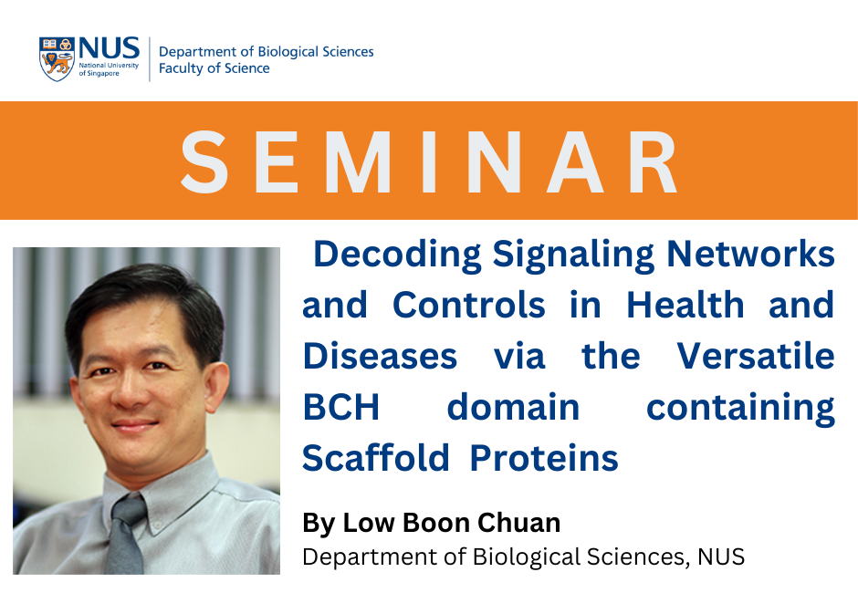 Low Boon Chuan | 4 Mar 2024