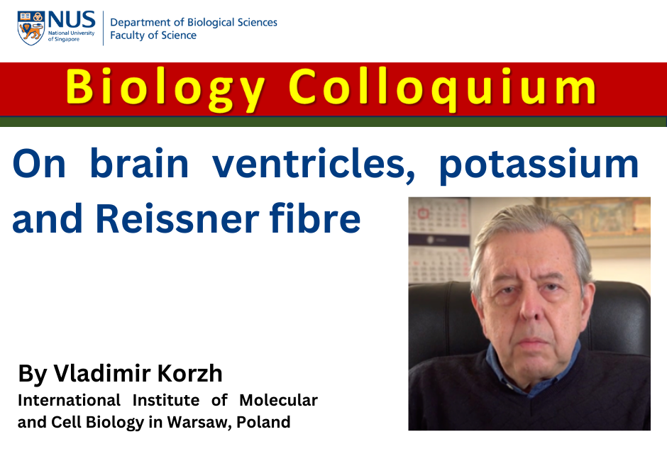 Vladimir Korzh | 23 Feb 2024