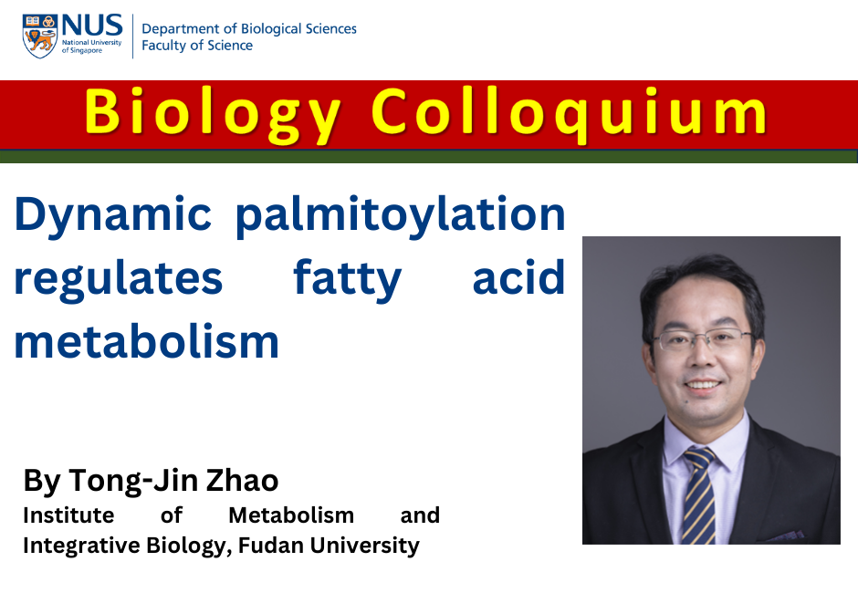 Tong-Jin Zhao | 15 Mar 2024