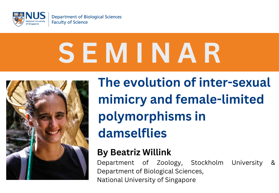 Beatriz Willink | 10 May 2024