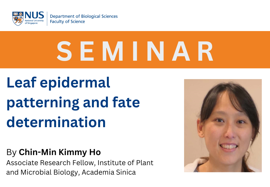 Kimmy Ho | 18 Apr 2024