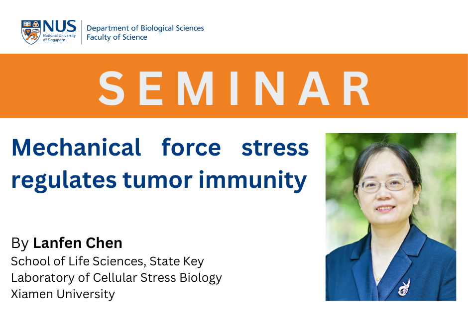 Lanfen CHEN | 31 May 2024