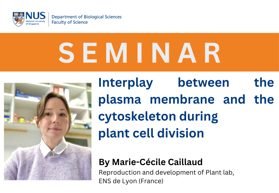 Marie-Cécile Caillaud | 23 May 2024