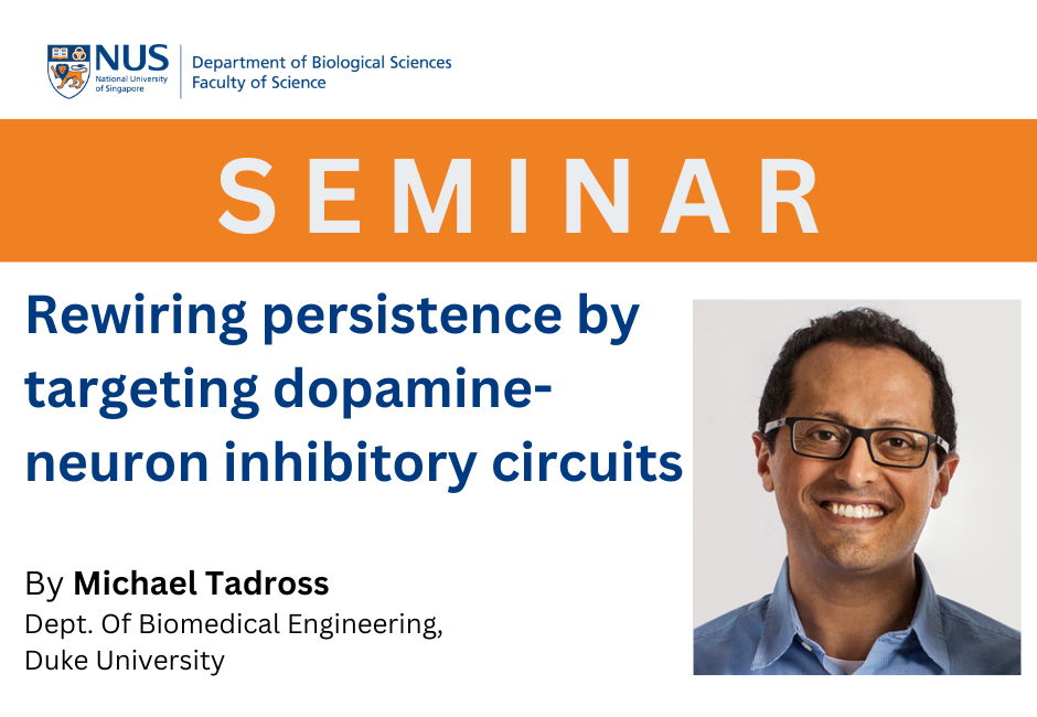 Michael Tadross | 3 May 2024