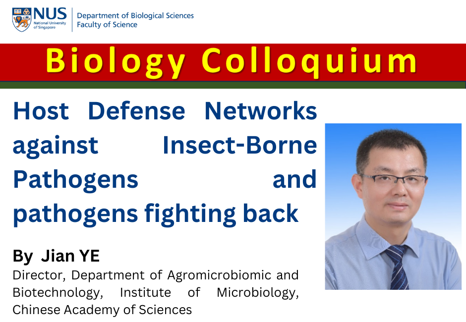 Ye Jian | 12 Apr 2024