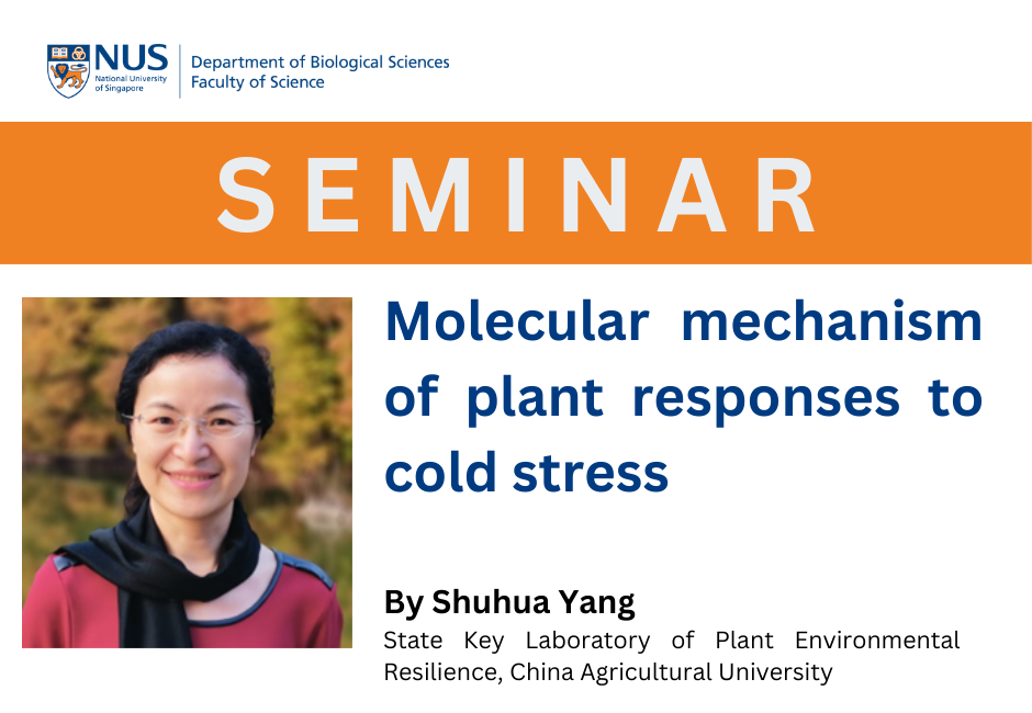 Yang Shuhua | 1 July 2024