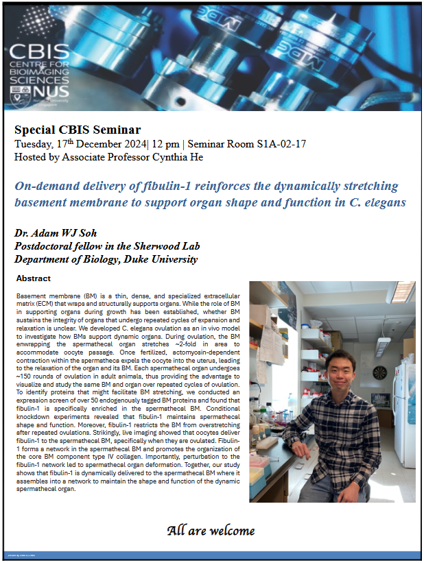 Special CBIS Seminar: On-demand delivery of fibulin-1 reinforces the dynamically stretching basement membrane to support organ shape and function in C. elegans