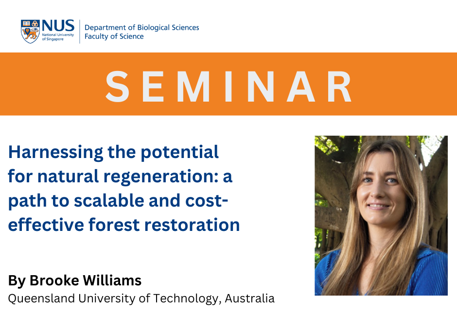 Brooke Williams | 6 Jan 2025