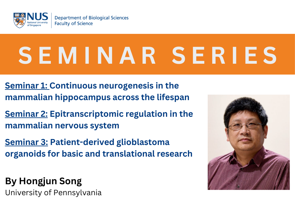 Song Hongjun | 17-19 Dec 2024