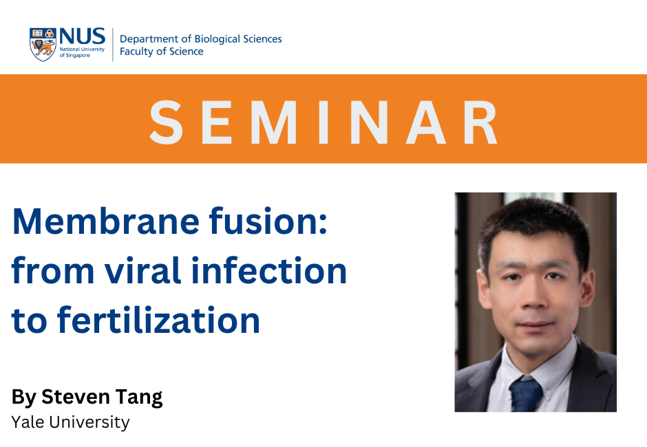 Steven Tang | 7 Jan 2025