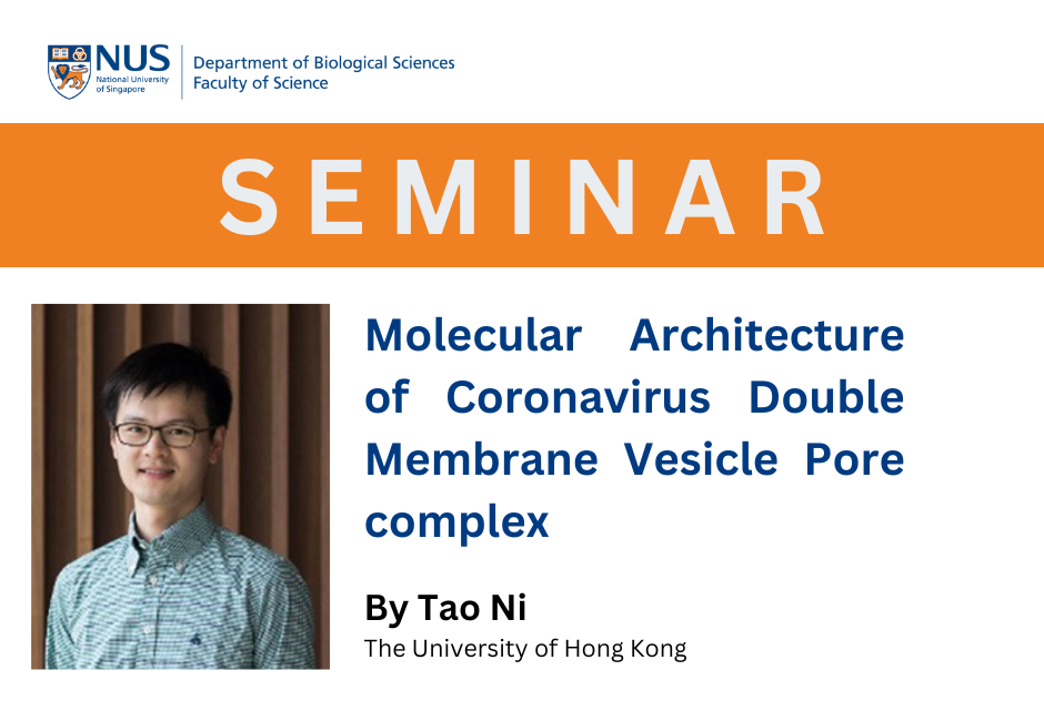 Tao Ni | 22 Nov 2024