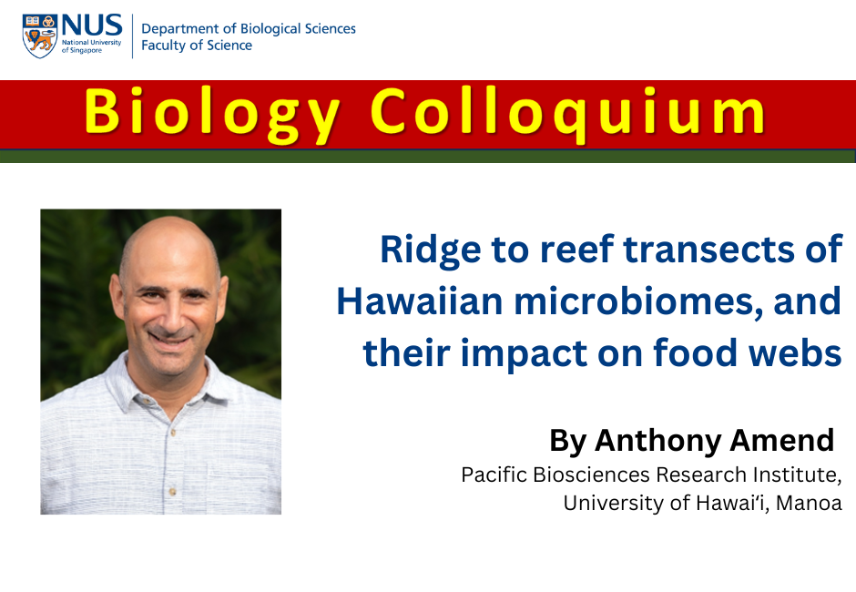 Anthony Amend | 4 Apr 2025