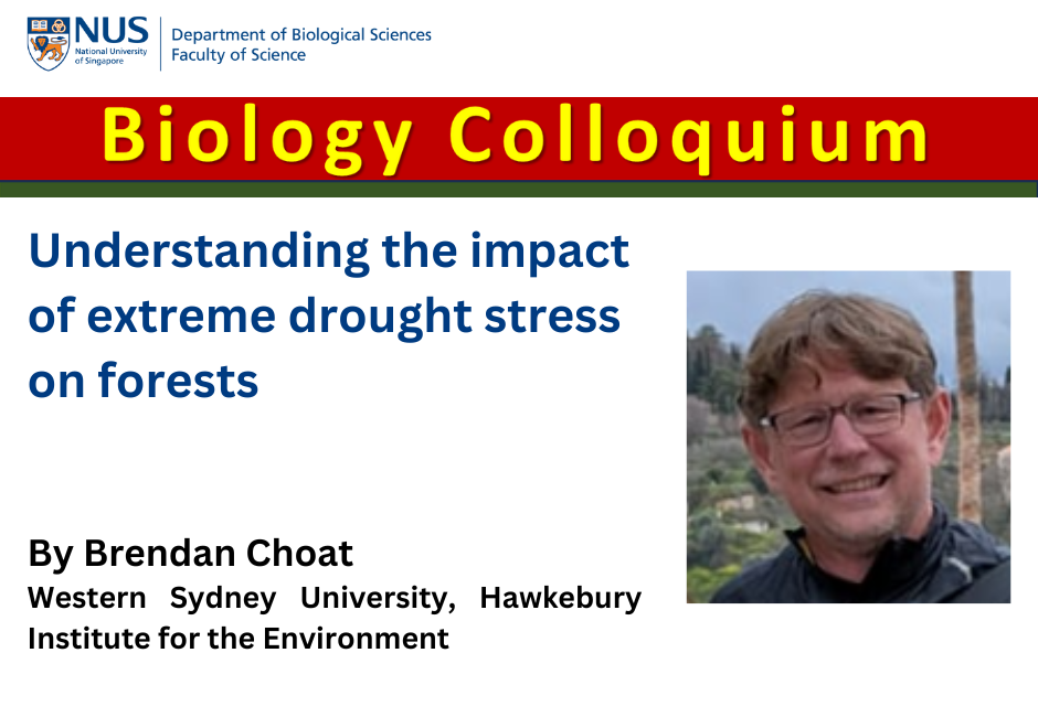 Brendan Choat | 29 Aug 2025