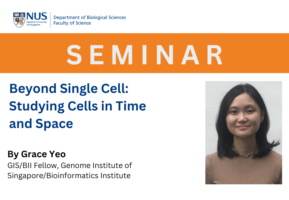 Grace Yeo | 7 May 2025