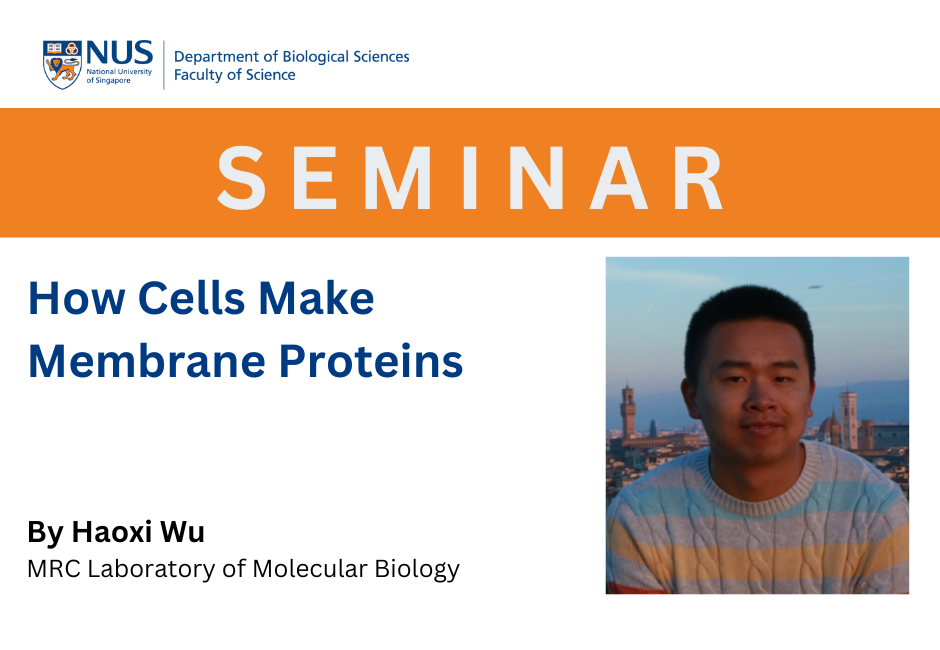 Haoxi Wu | 30 July 2025