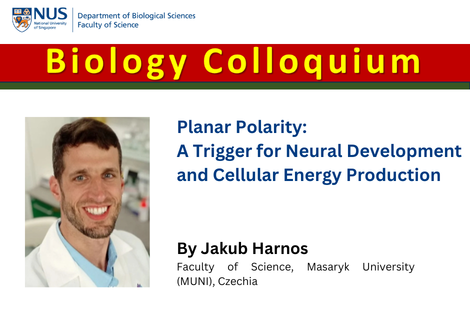 Jakub Harnos | 25 Apr 2025