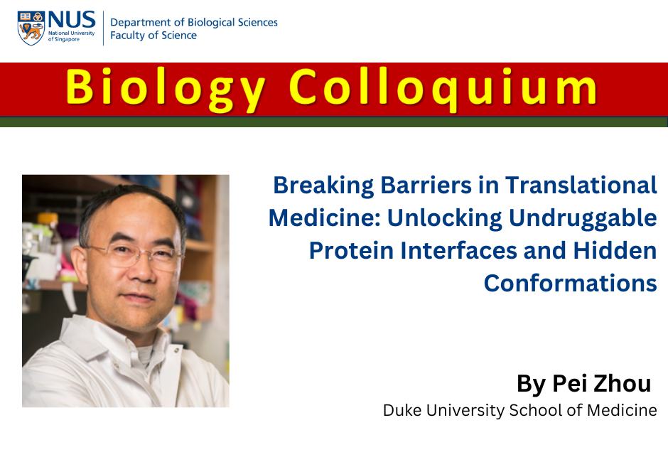 Zhou Pei 28 | Feb 2025