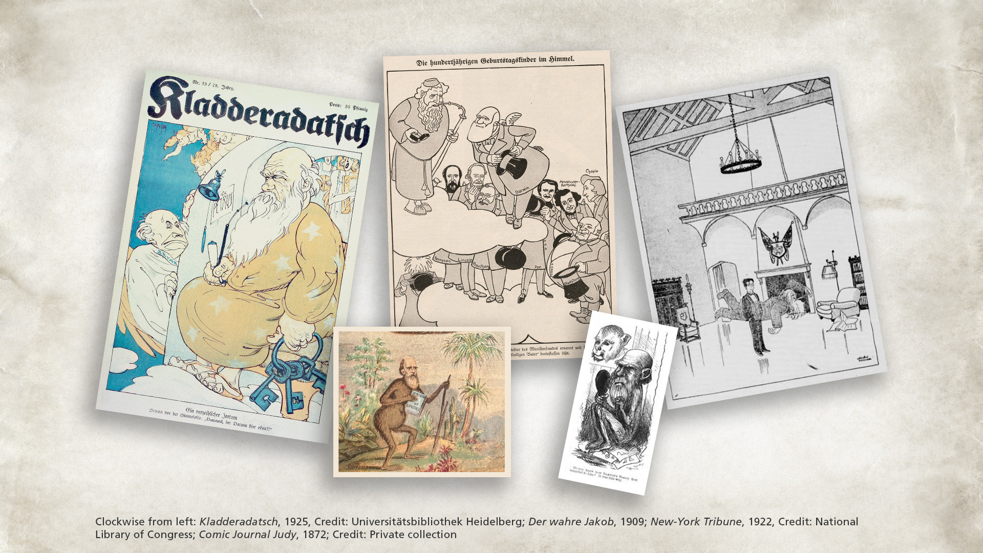 RESEARCH – The largest collection of caricatures of Charles Darwin and evolution in history unveiled