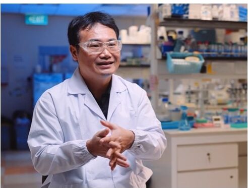 NEWS – Luo Min named EMBO Global Investigator 2025