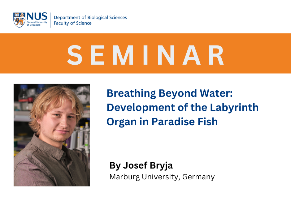 Josef Bryja | 13 Jan 2026