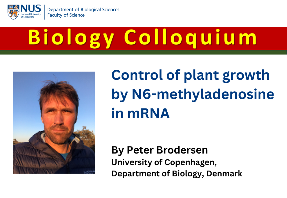 Peter Brodersen |16 Jan 2026