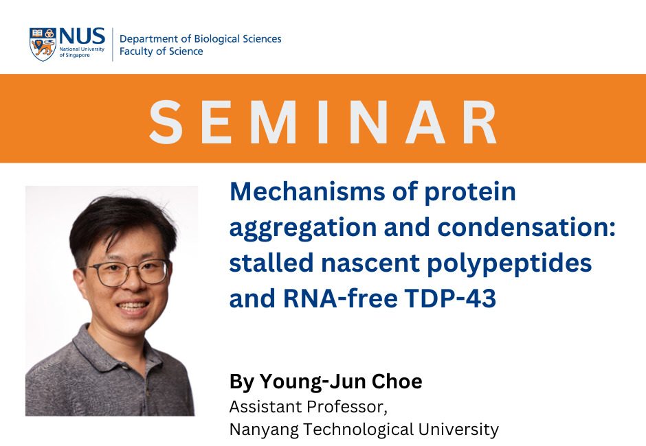 Young-Jun Choe | 10 Oct 2025