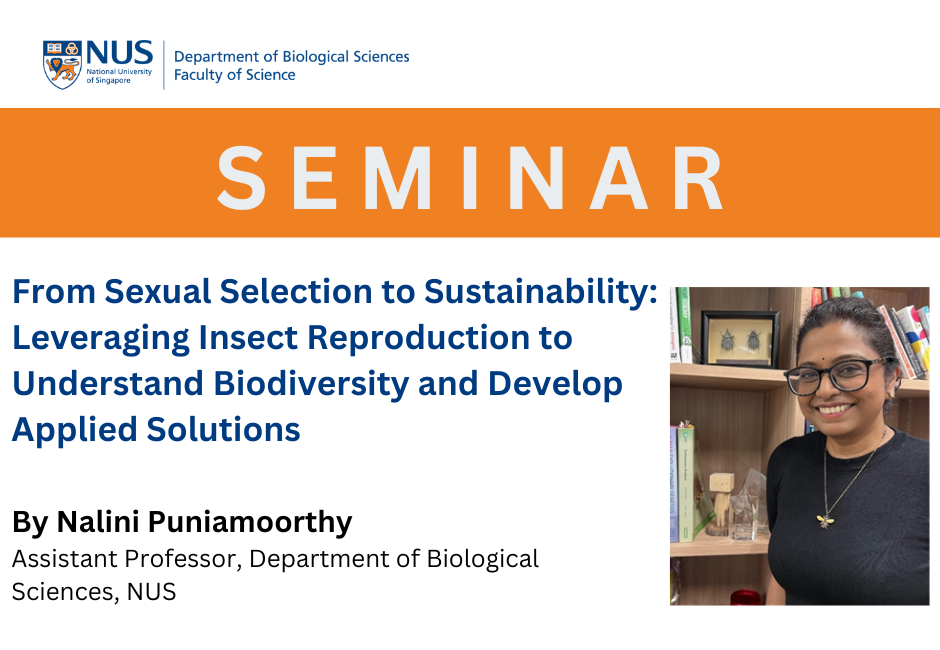 Nalini Puniamoorthy | 6 Mar 2026