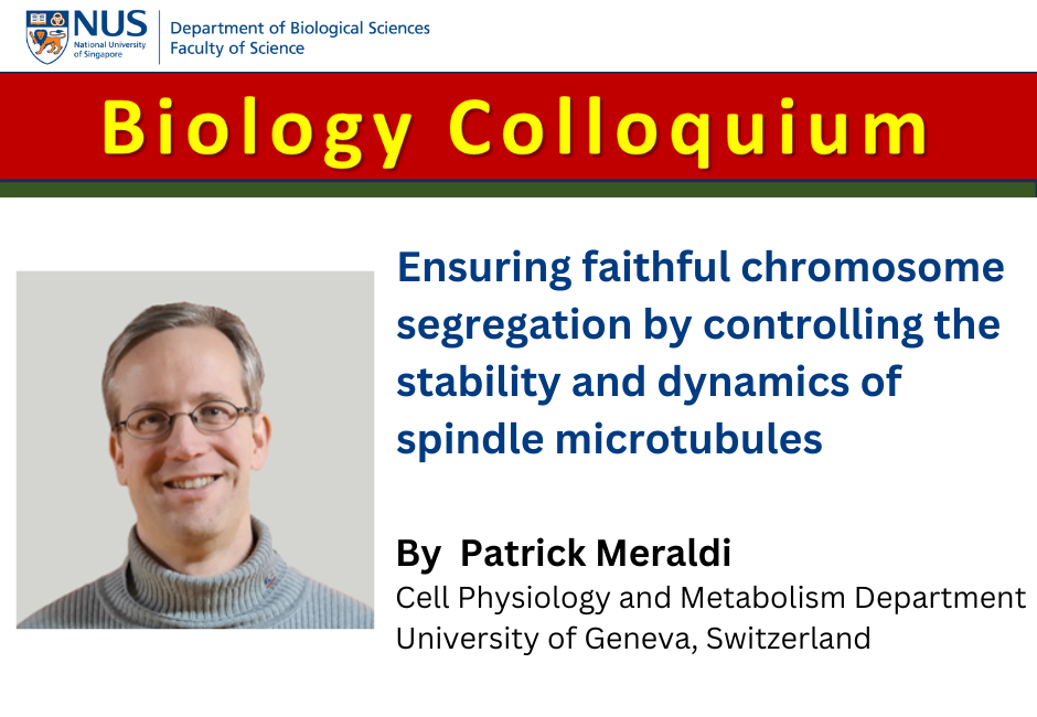 Patrick Meraldi | 20 Feb 2026