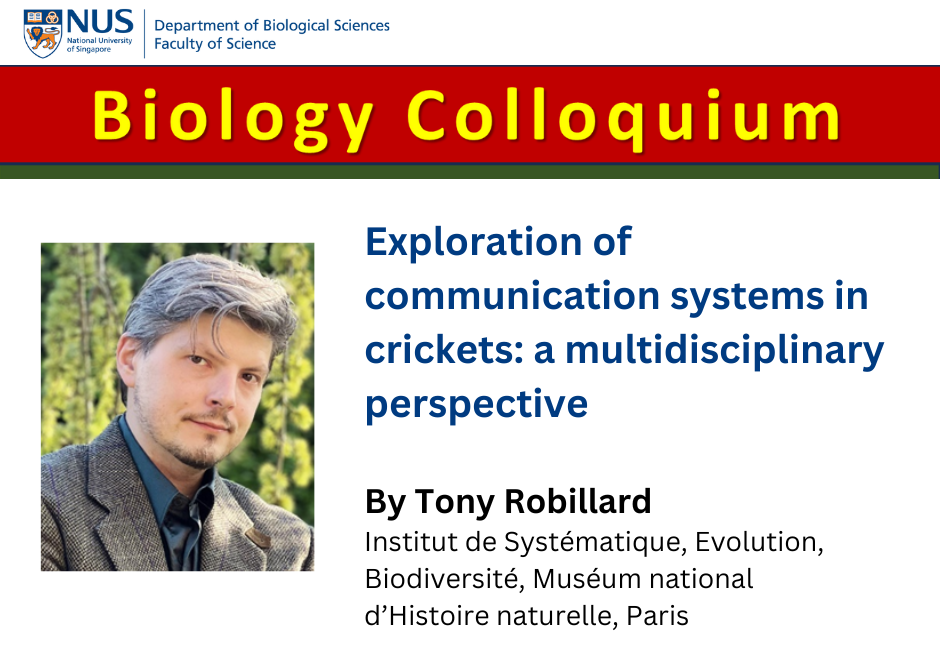 Tony Robillard |13 Feb 2026