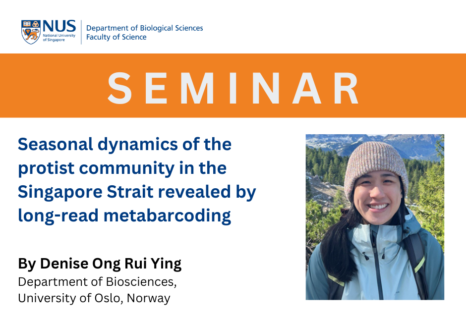 Denise Ong | 29 Apr 2026