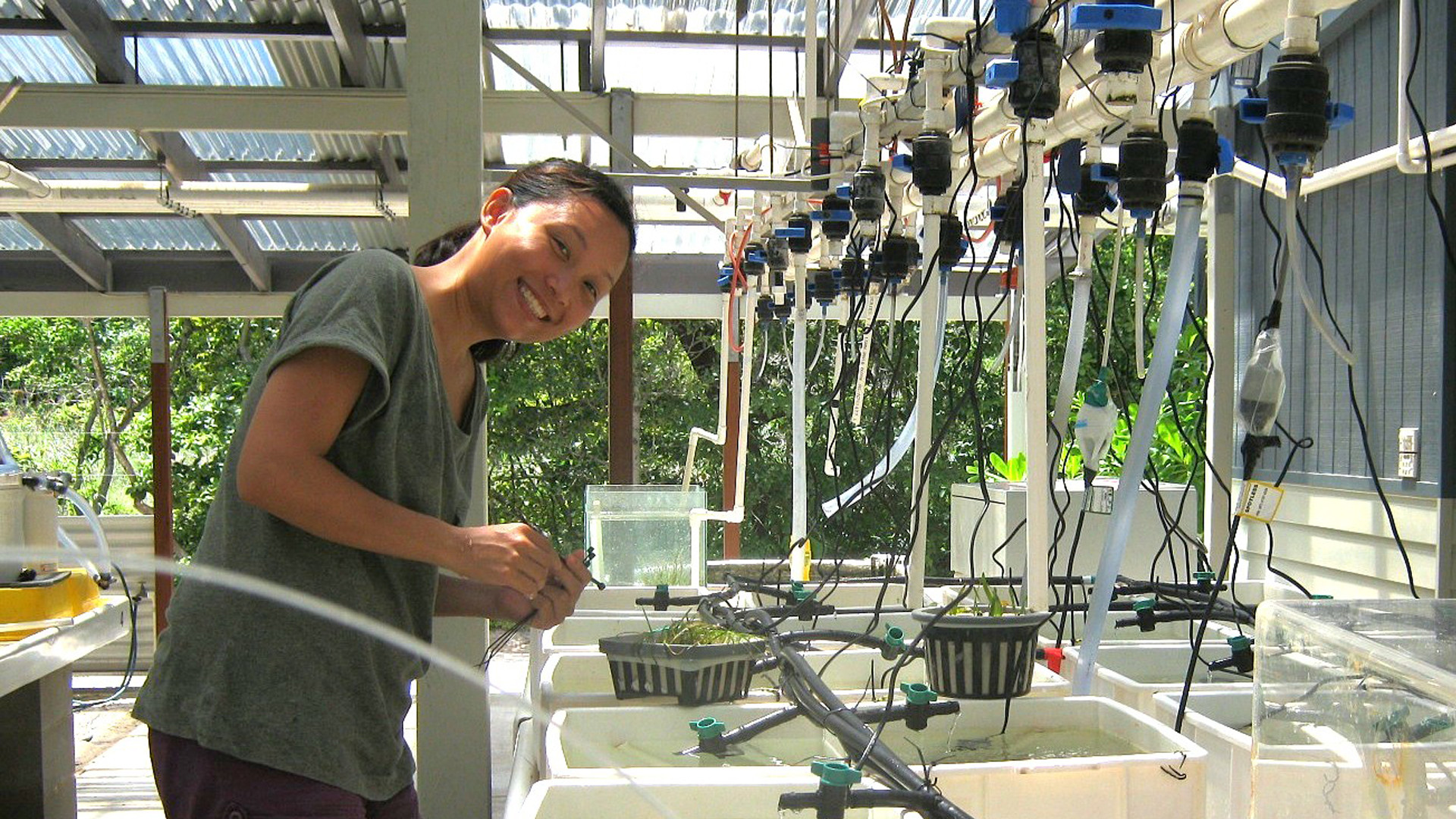 ALUMNI – World Ocean Day: NUS scientist Dr Ow Yan Xiang makes waves in seagrass research and restoration