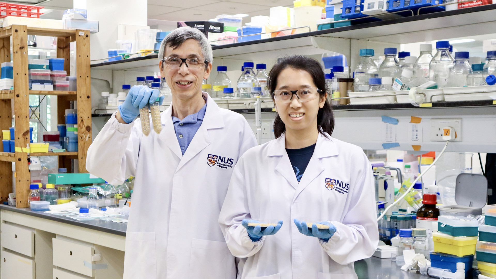 RESEARCH – NUS breakthrough for aquaculture: Oral vaccine protects fish from fatal nervous necrosis virus