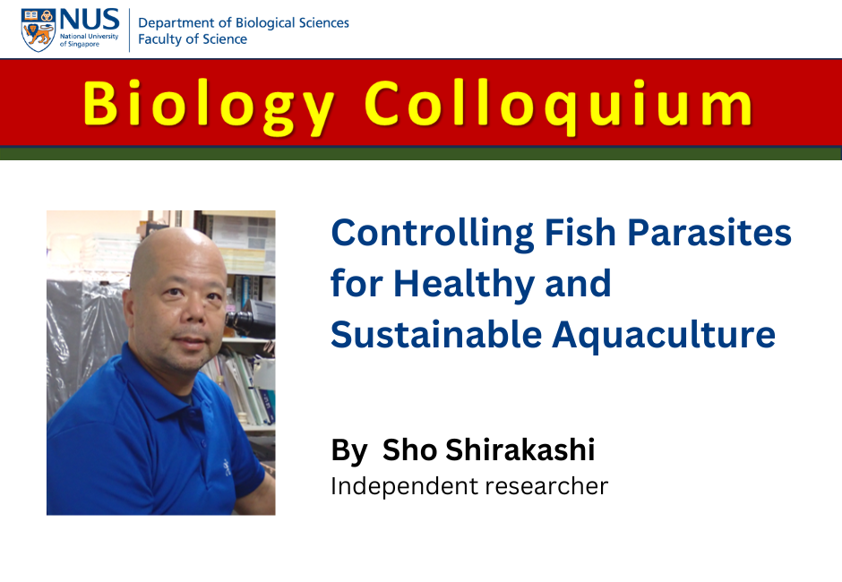 Sho Shirakashi | 14 Aug 2026