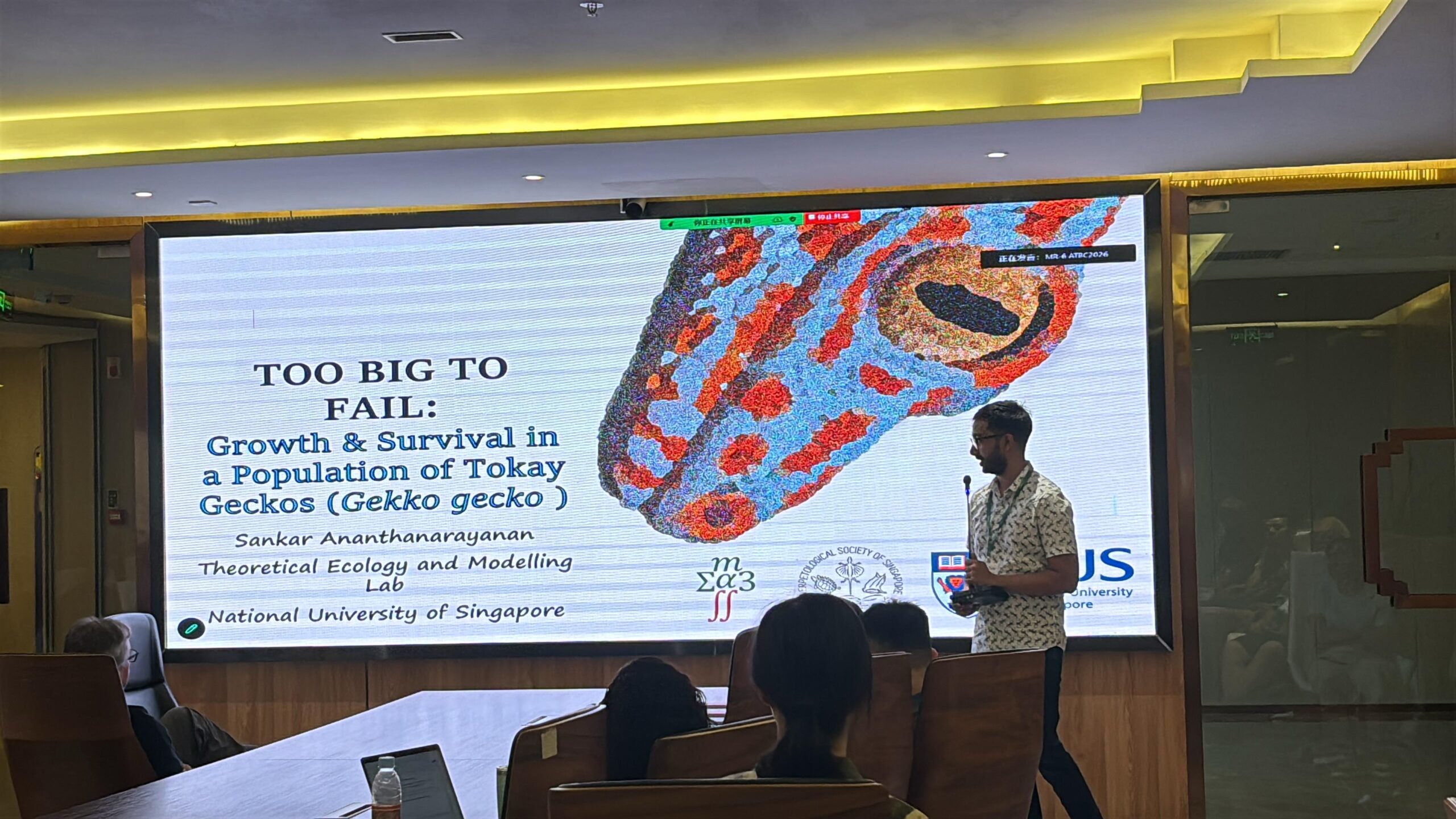 Sankar talking about tokay geckos
