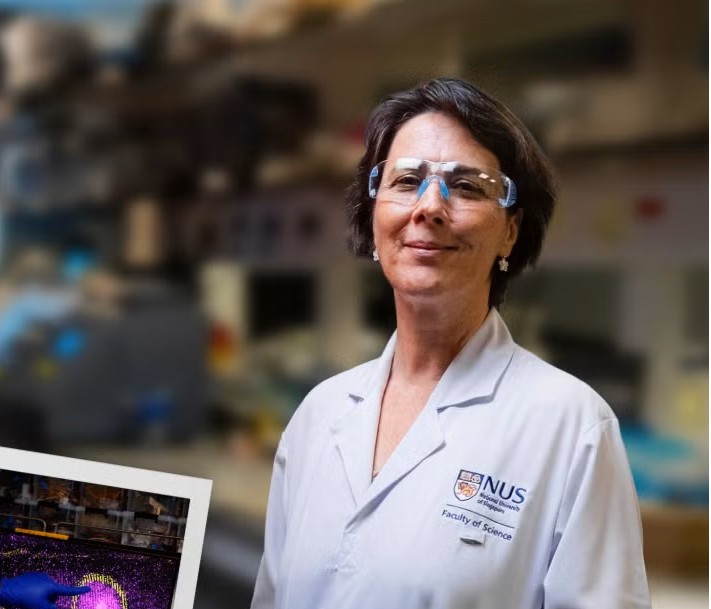 Biological novelty emerges from existing genes