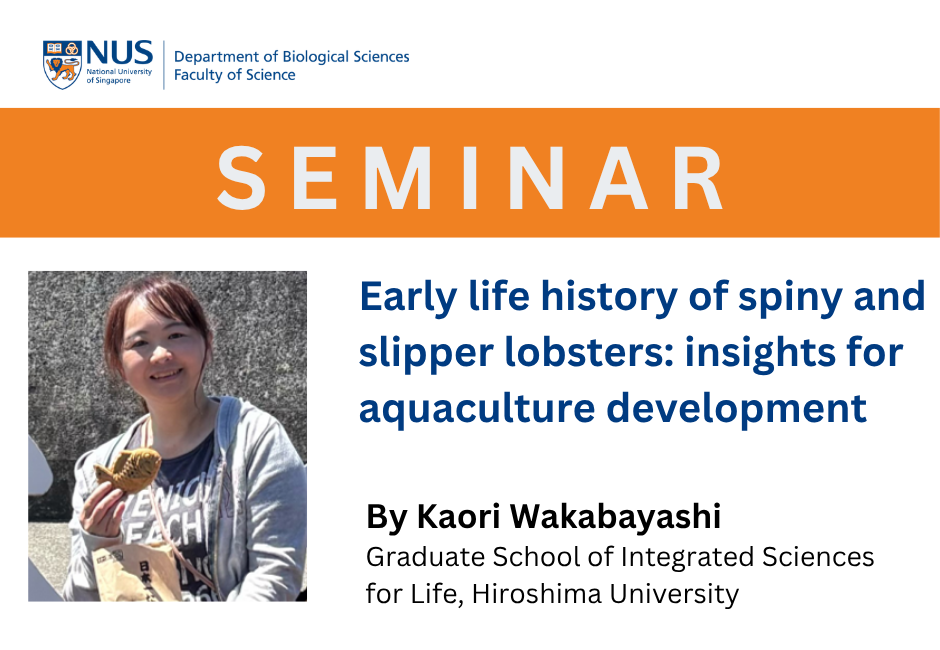 Kaori Wakabayashi | 15 Sept 2026