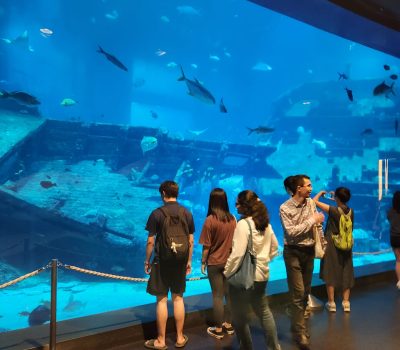 WhatsApp Image 2024-07-23 at 16.49.40_cc5d1c67