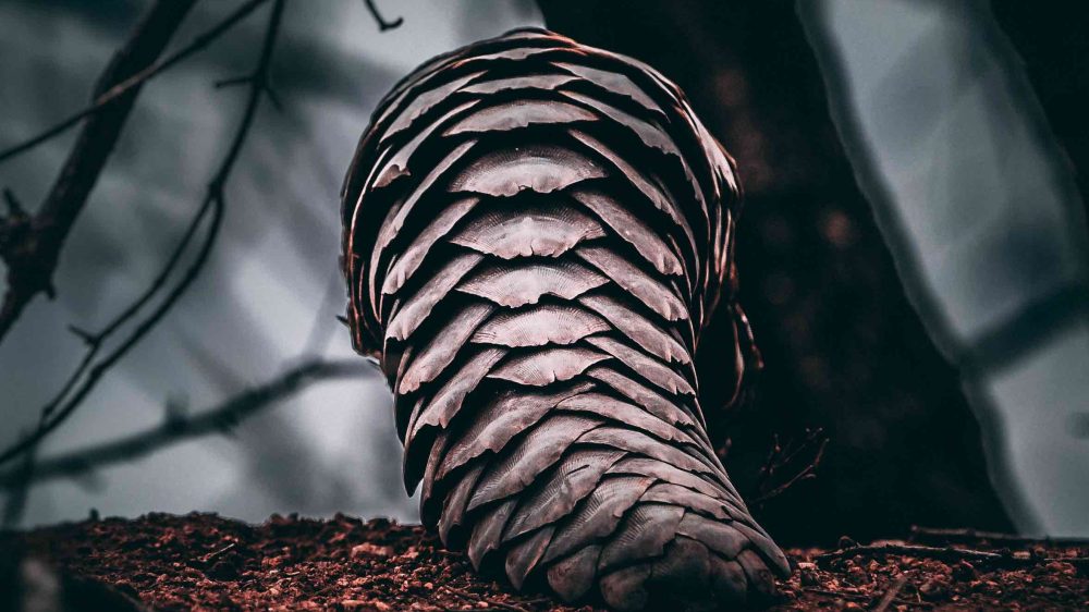 Photo by Geran De Klerk on Unsplash