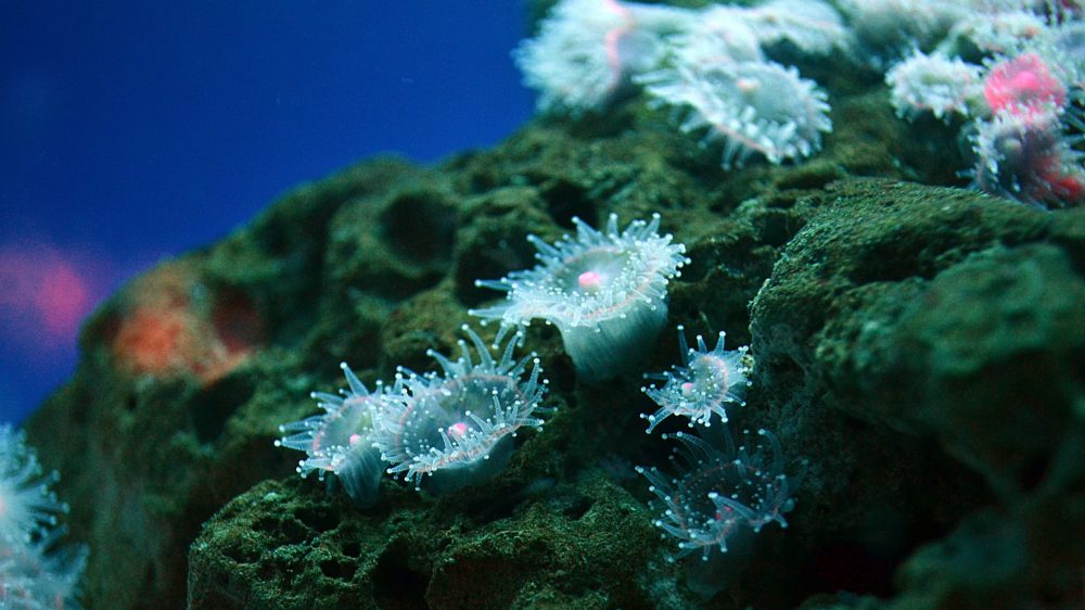 Photo by Kiara Sztankovics on Unsplash