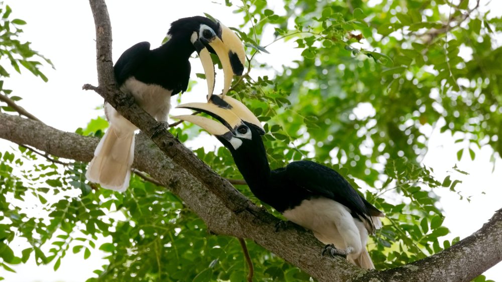 Photo by Mathew Schwartz on Unsplash