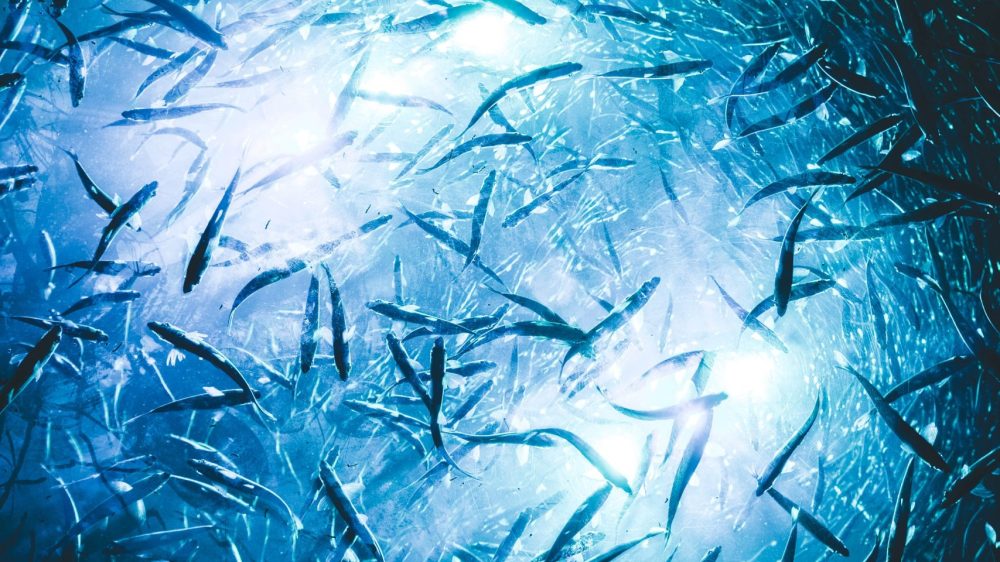 Photo by Teryll Kerrdouglas on Unsplash